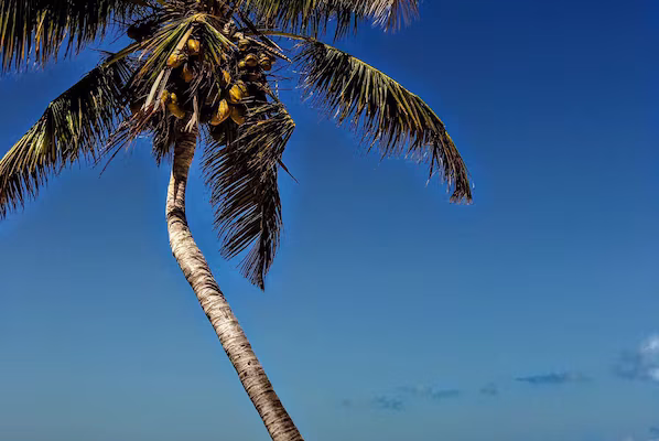 Mujeres Beach near Dreams Playa Mujeres Golf & Spa Resort with white sand and clear Caribbean waters